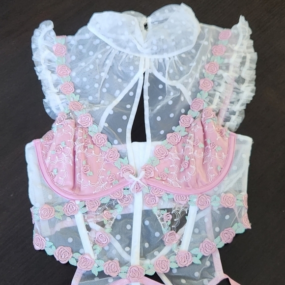 New!For Love and Lemons Pointelle Rose's Teddy - Picture 9 of 16